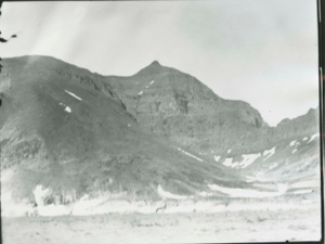 Image of Mt. Brave